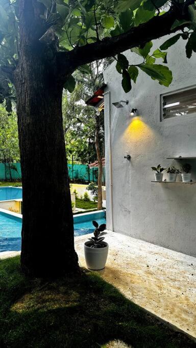 Serenity Farm Stay Hampapura Экстерьер фото